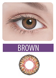 Adria Color 3-Tone -  (Brown)