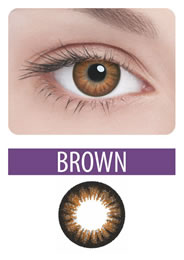 Adria Glamorous -  (Brown)