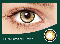 HERA Paradise -  (Brown)