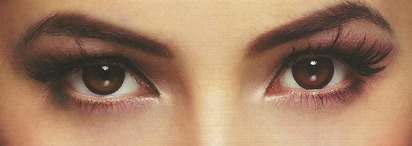 FreshLook Illuminate FreshLook Illuminate